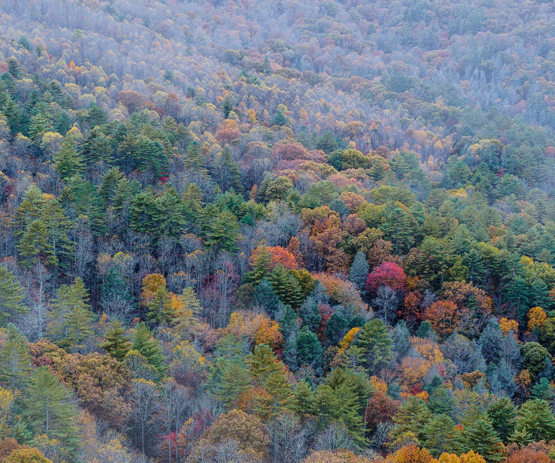 Above Rusty's Cave (2021)